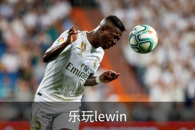 乐玩lewin公司简介图片